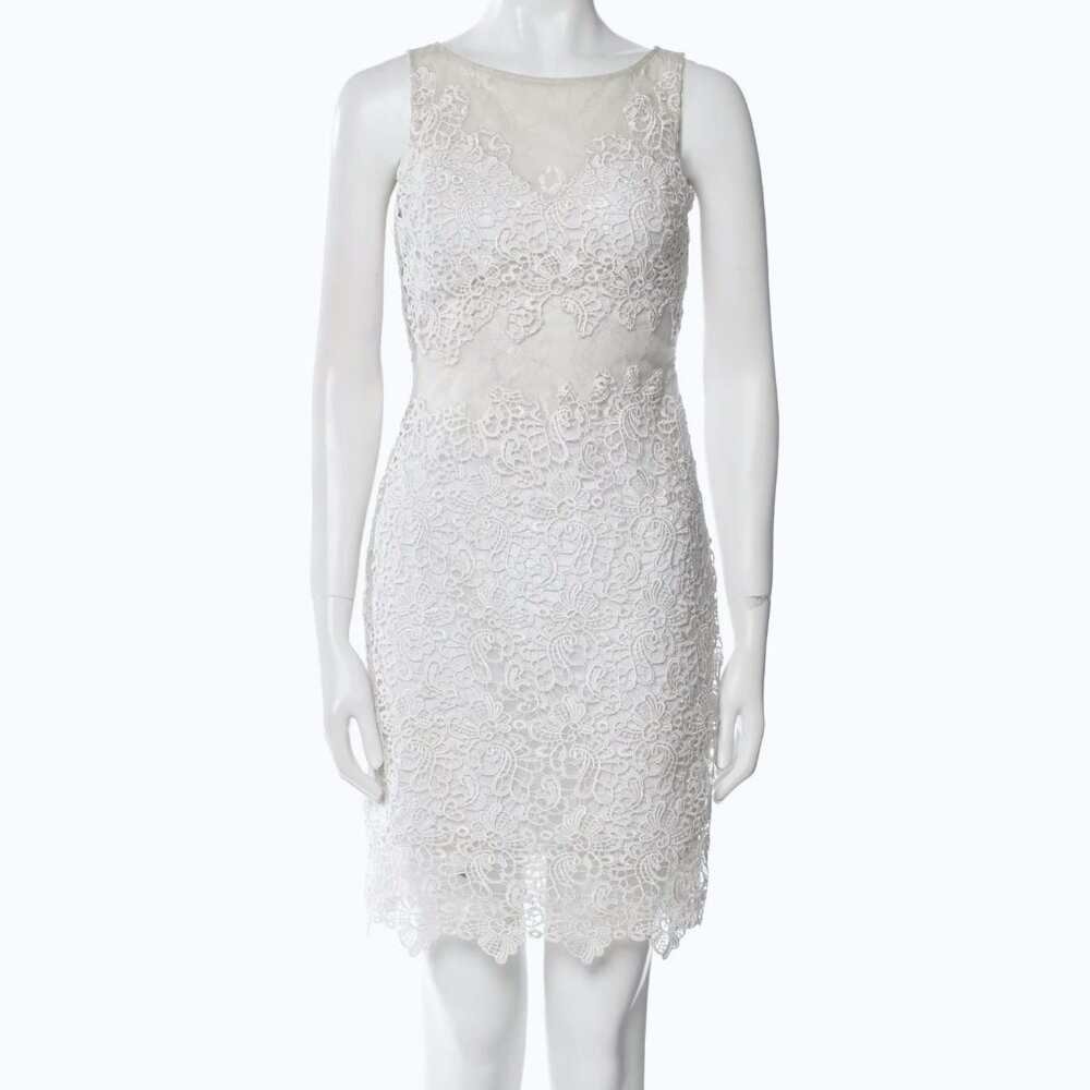 Basix Black Label Lace Illusion Sleeveless Dress